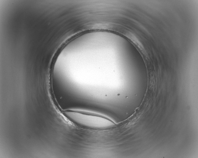 X0000075840992200609291433