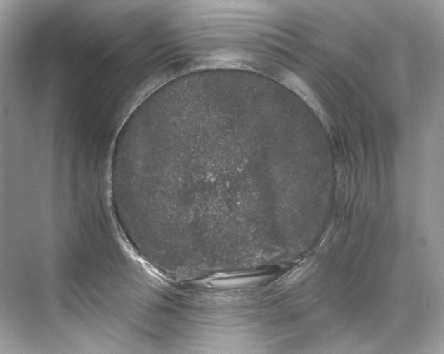 X0000075840994200609291433