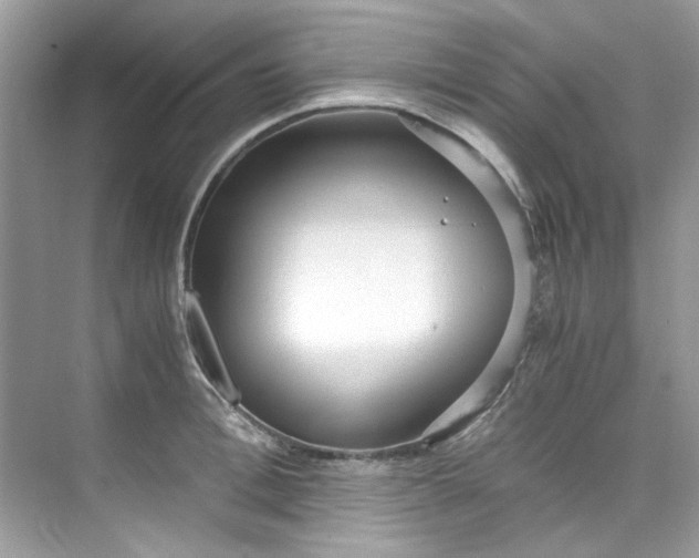 X0000075840996200609291433