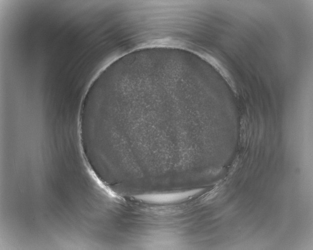 X0000075840998200609291433