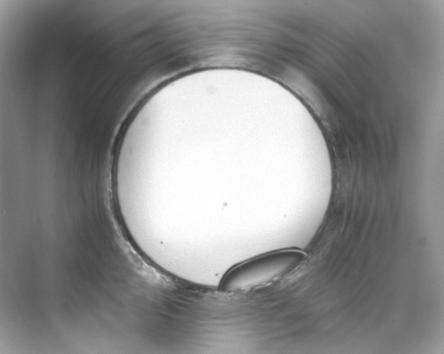 X0000075841000200609291433