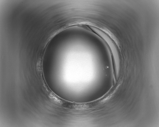 X0000075841001200609291433