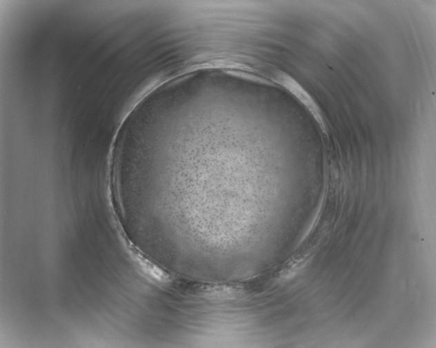 X0000075841002200609291433