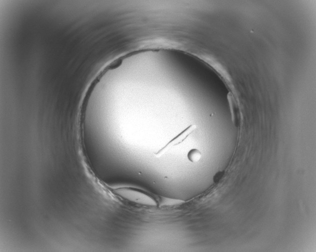 X0000075841008200609291433