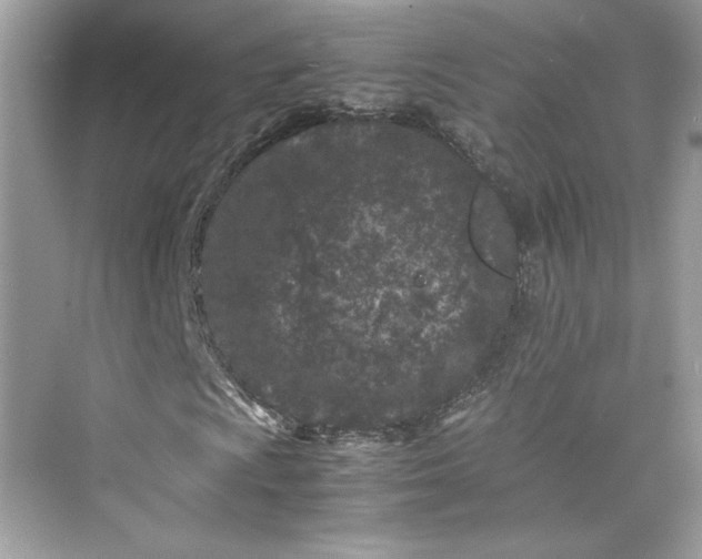 X0000075841009200609291432