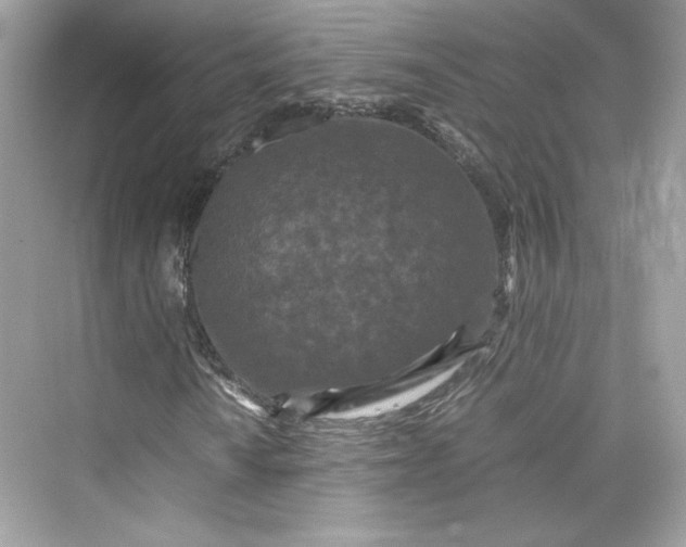 X0000075841010200609291432