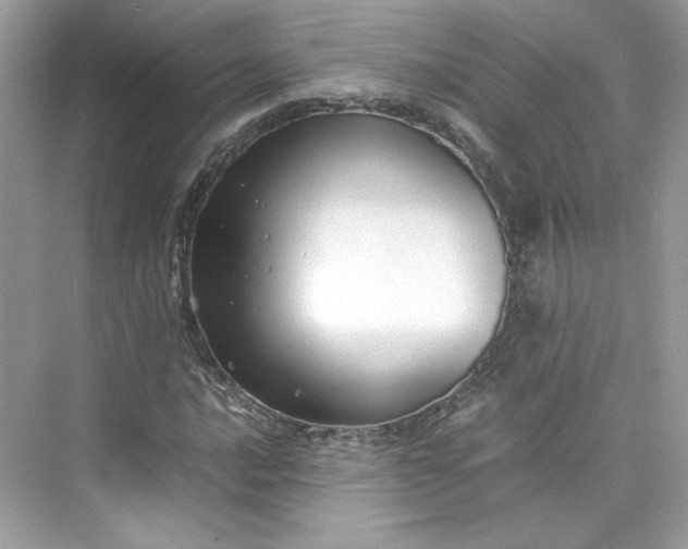 X0000075841016200609291432