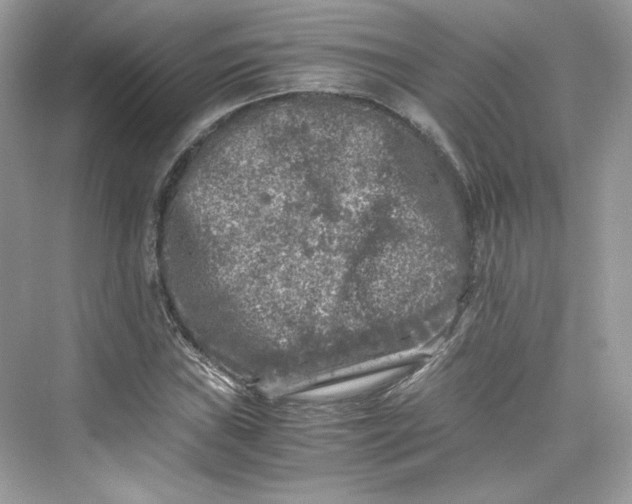 X0000075841019200609291432