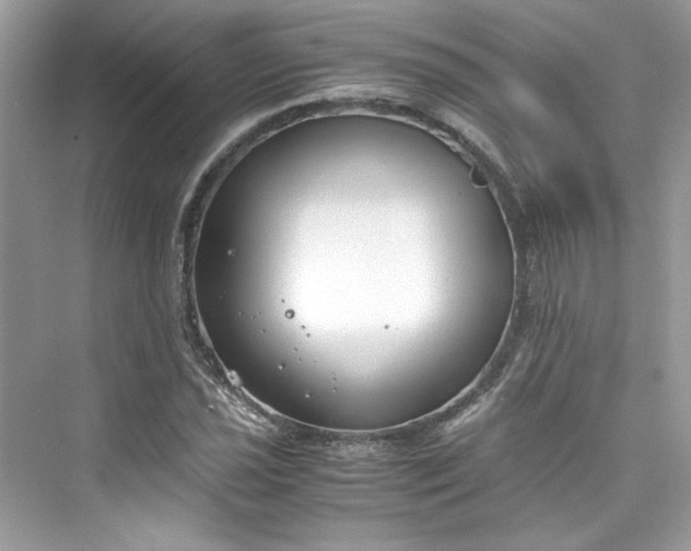 X0000075841021200609291432