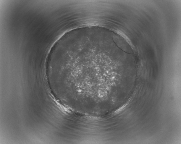 X0000075841023200609291432