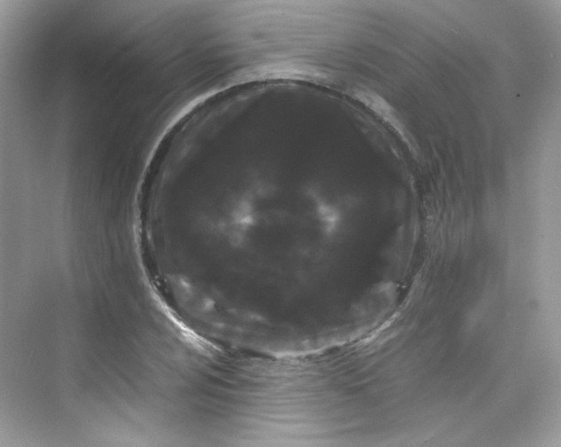 X0000075841024200609291432