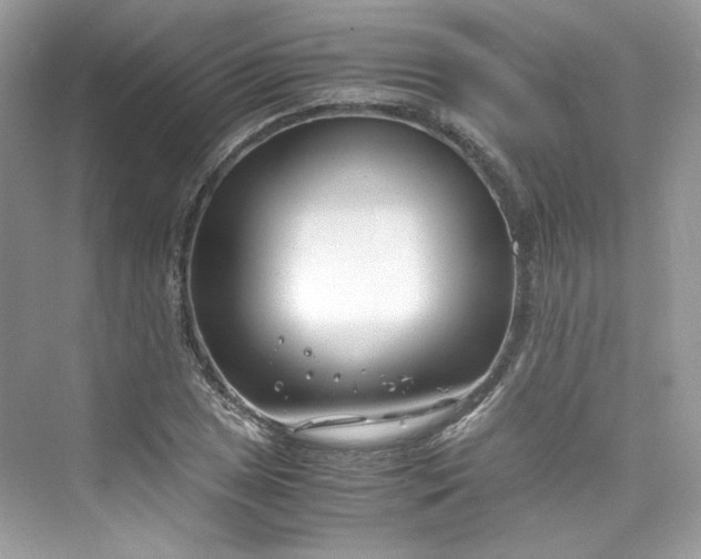 X0000075841025200609291432