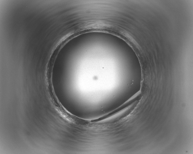 X0000075841026200609291432