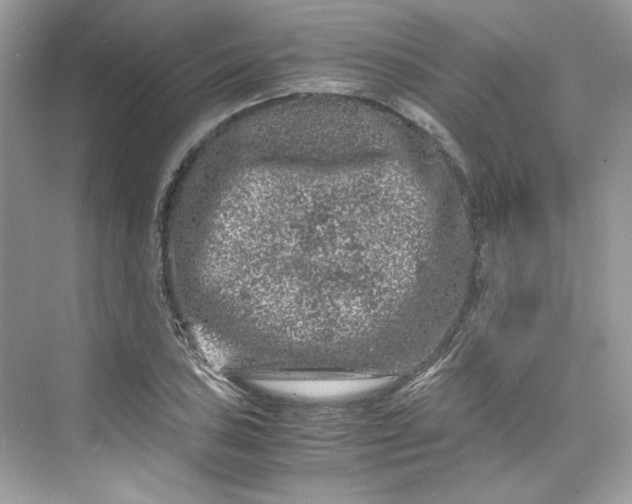 X0000075841027200609291432