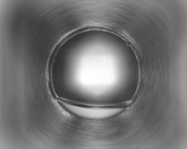 X0000075841028200609291432