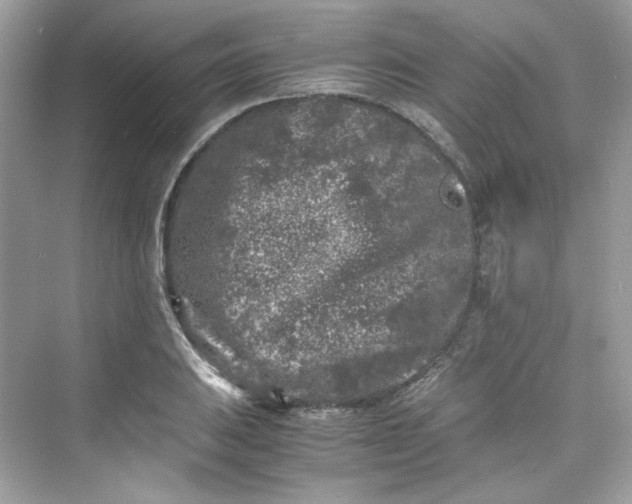 X0000075841031200609291432