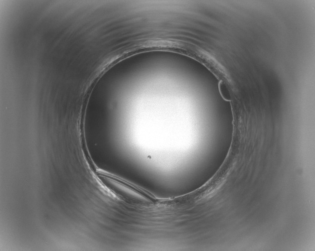 X0000075841033200609291432