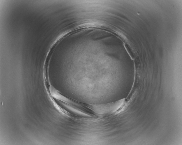 X0000075841034200609291432