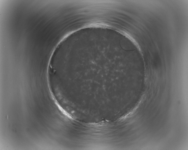 X0000075841037200609291432