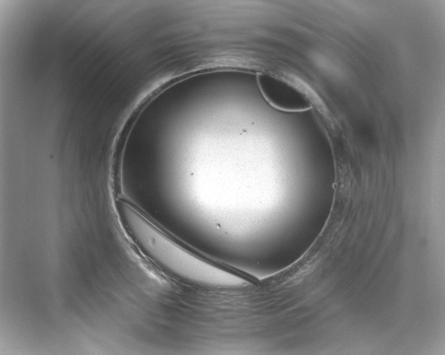 X0000075841043200609291432