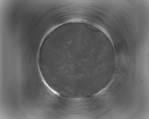 X0000075841045200609291432