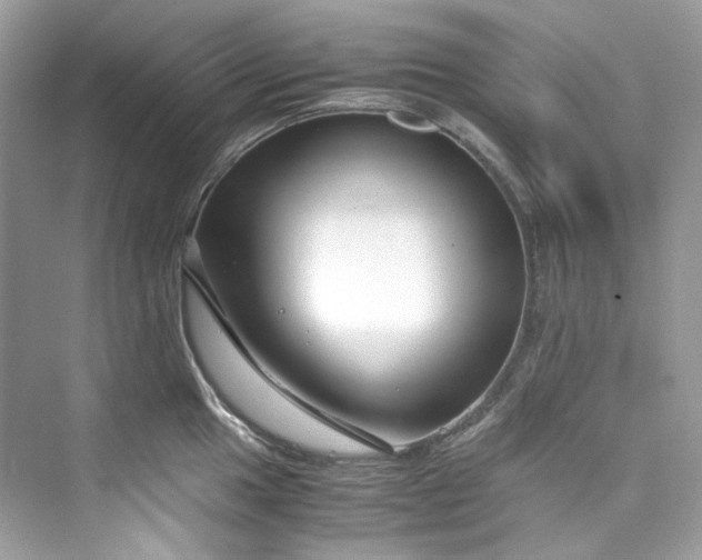 X0000075841049200609291433