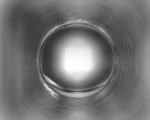 X0000075841054200609291433