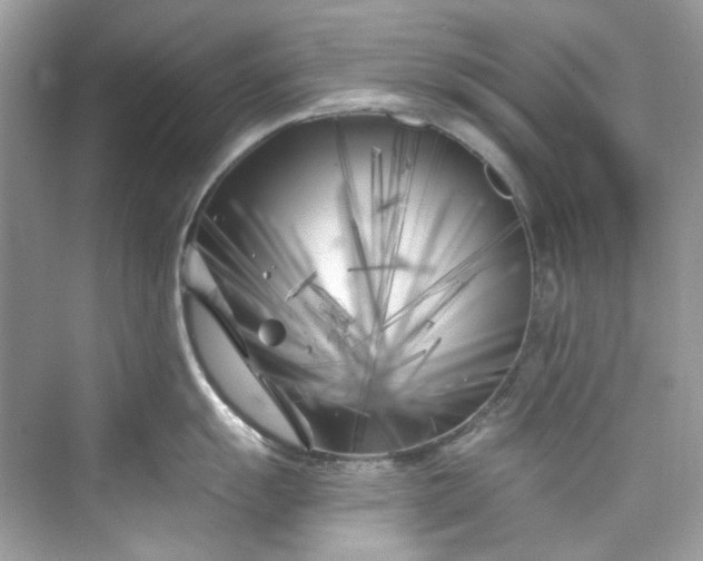 X0000075841055200609291433