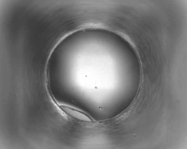 X0000075841056200609291433