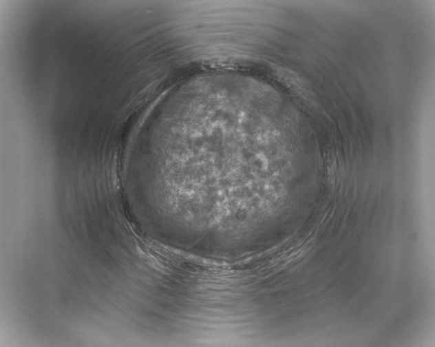 X0000075841060200609291432