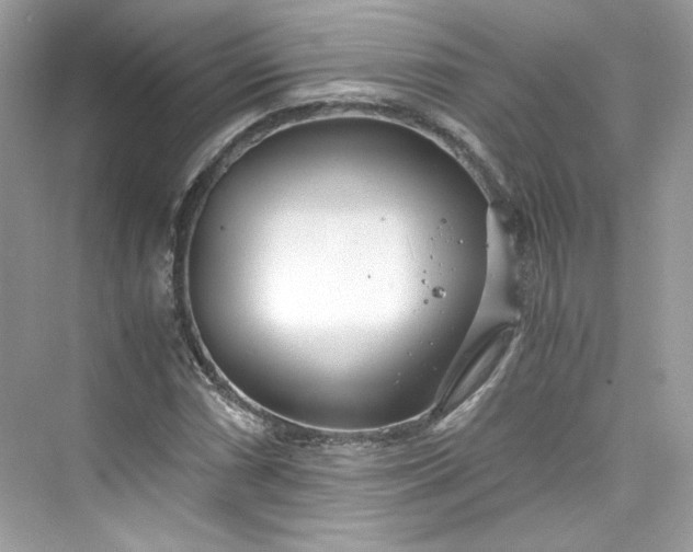 X0000075841066200609291432