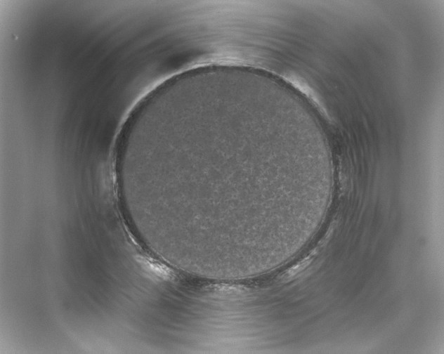 X0000075841070200609291432