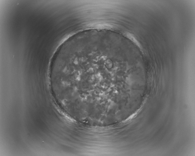 X0000075841071200609291432