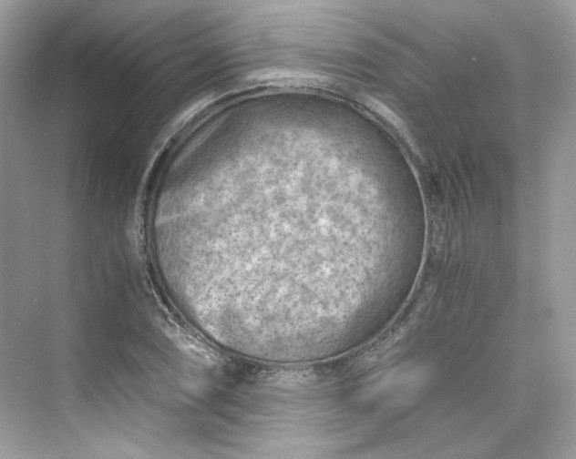 X0000075841074200609291432