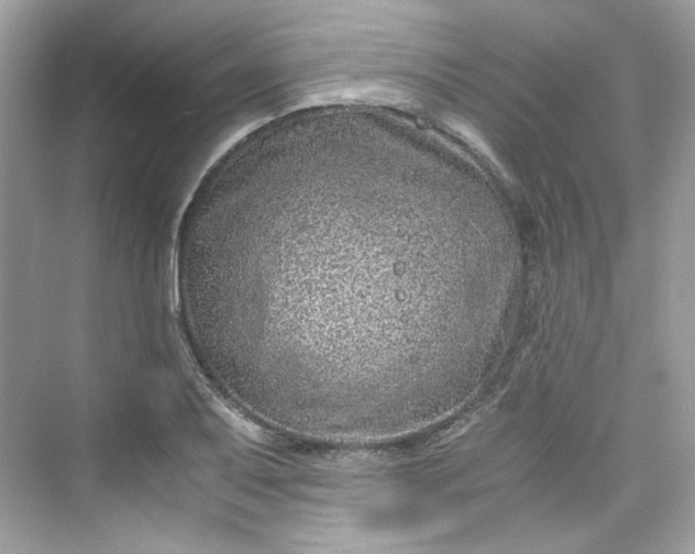 X0000075841079200609291431