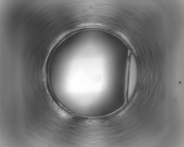 X0000075841082200609291431