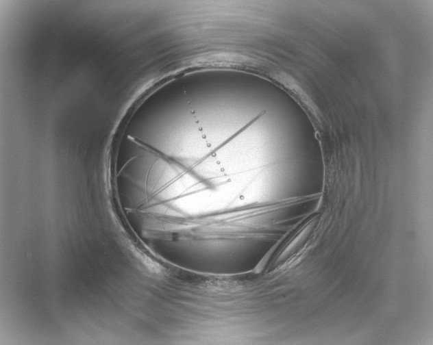 X0000075841083200609291431