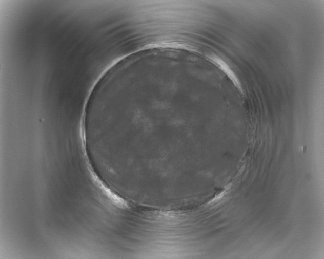 X0000075841084200609291431