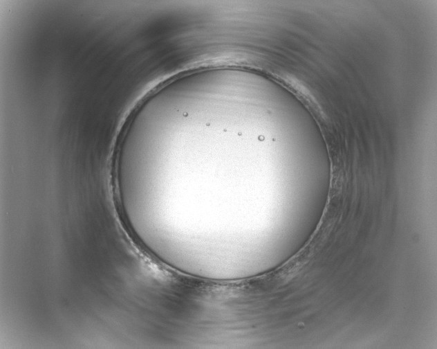 X0000075841086200609291431