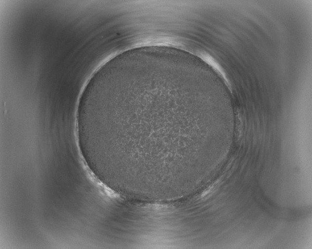 X0000075841088200609291431