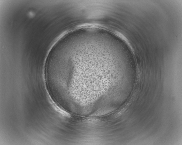 X0000075841090200609291431