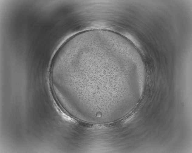 X0000075841094200609291431