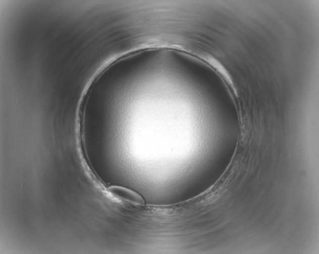 X0000075841096200609291431