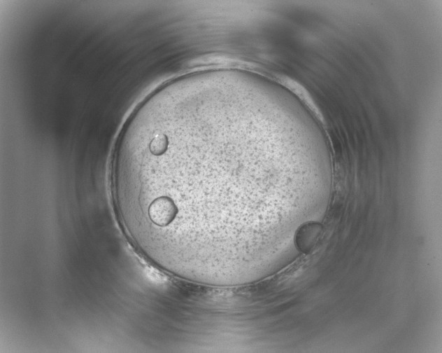 X0000075841098200609291431