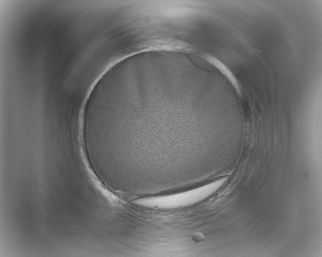 X0000075841099200609291431