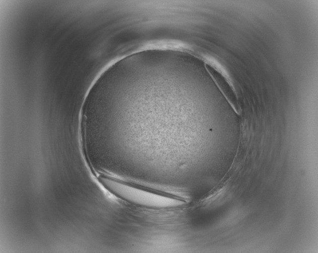 X0000075841103200609291431