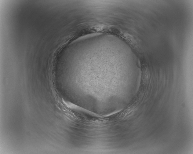 X0000075841105200609291430