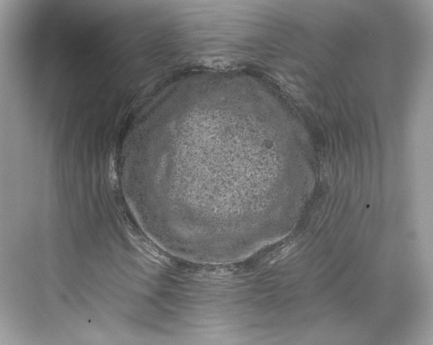 X0000075841106200609291430