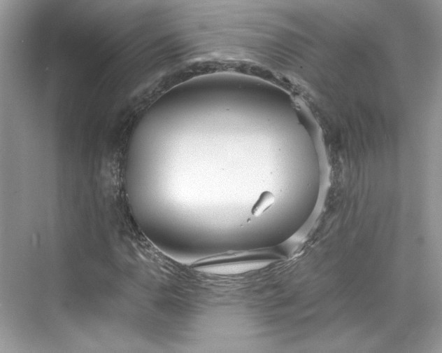 X0000075841110200609291430