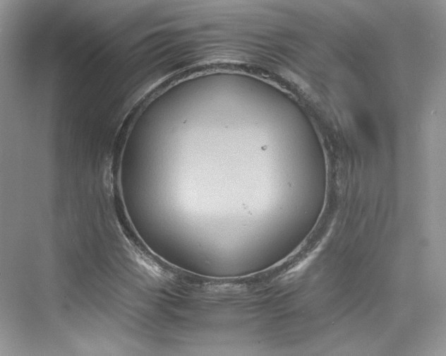 X0000075841113200609291430